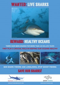 Poster_DutchSharkSociety2