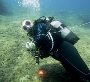 Aniek van der Zanden